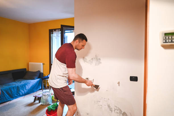 Best Residential Mold Remediation in Hinckley, IL